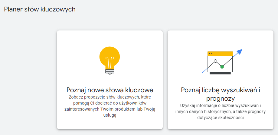 Zrzut ekranu z opcjami w Planerze słów kluczowych od Google. 